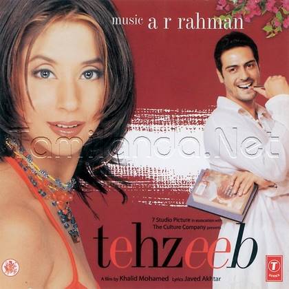 Tehzeeb (2003)
